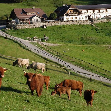 Ferienwohnung Hochsteinalm Traunkirchen Extérieur photo