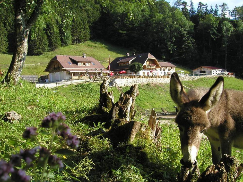 Ferienwohnung Hochsteinalm Traunkirchen Extérieur photo