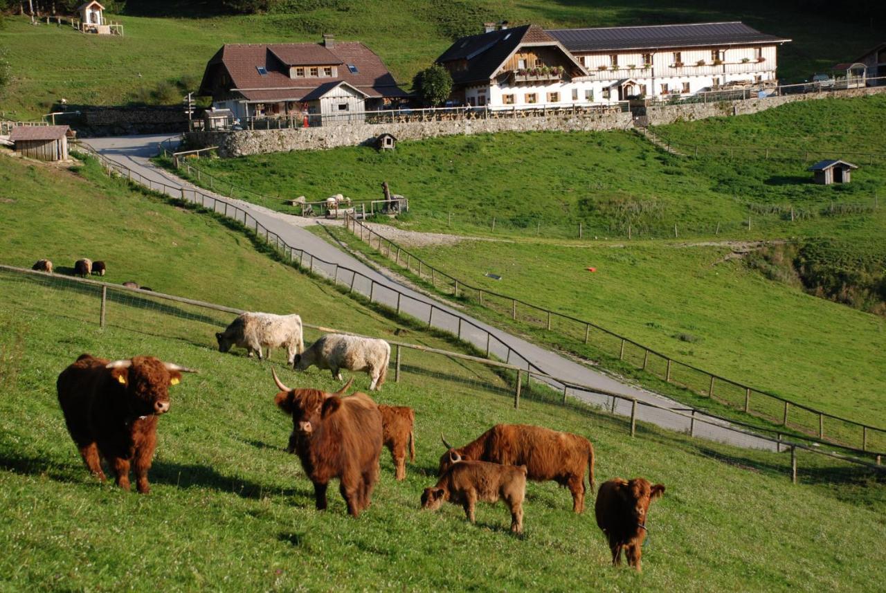 Ferienwohnung Hochsteinalm Traunkirchen Extérieur photo